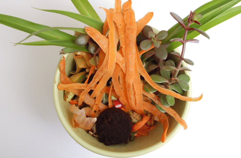 biootpad u posudi zagreb ostatci mrkve kore mrkve mrtva biljka talog kave