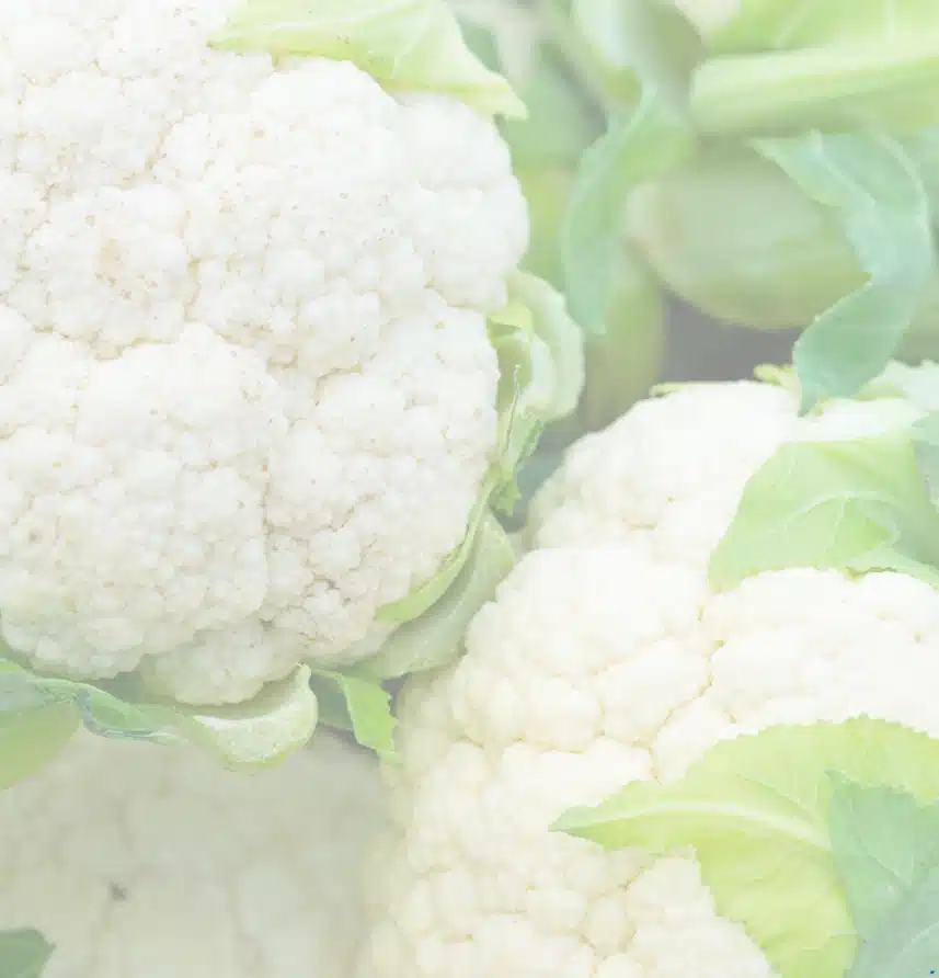 čips od listova cvjetače 2 glavice cvjetače recepti ja bolji građanin