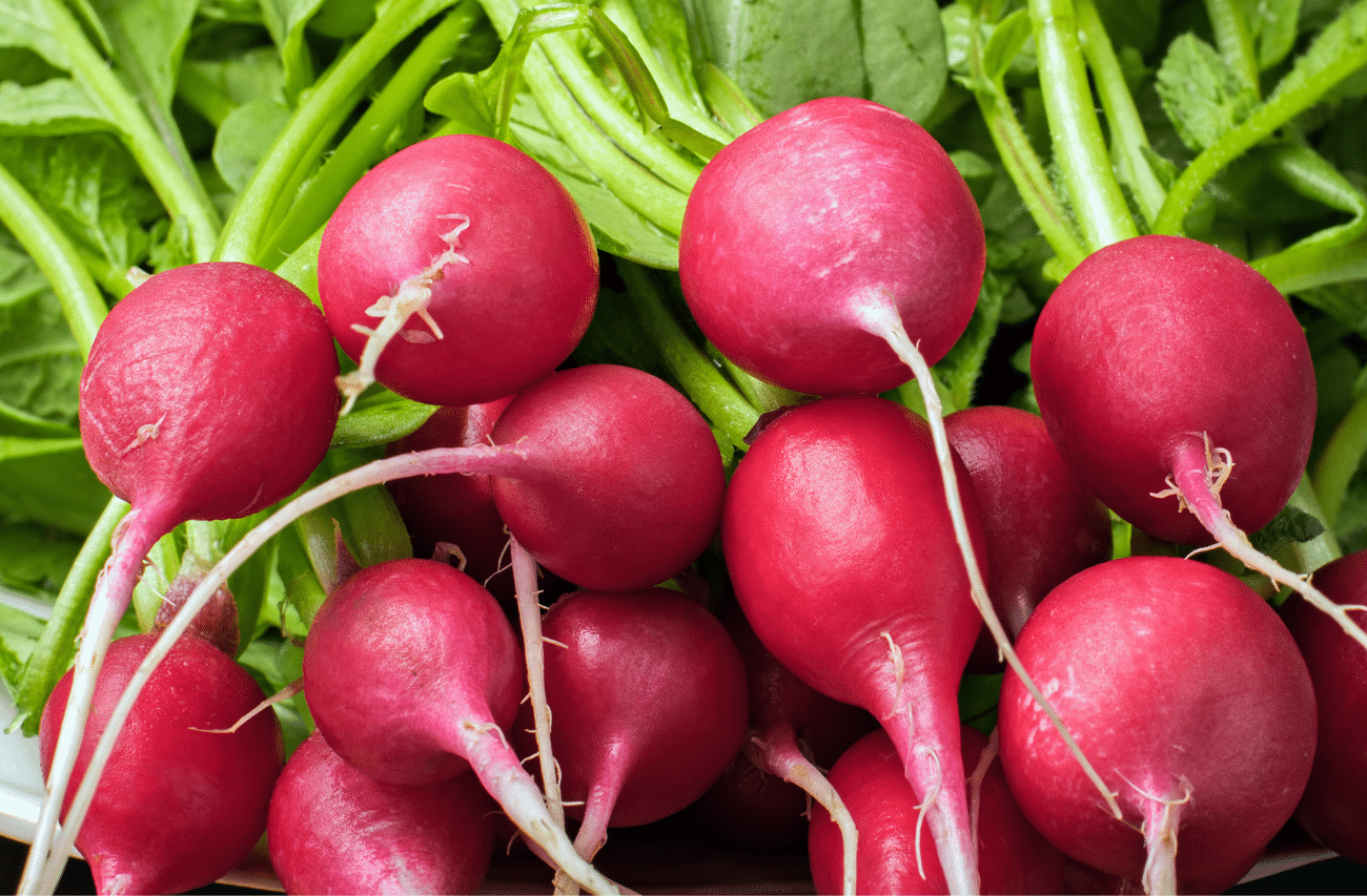 lišće rotkvice može se iskoristiti u salatama