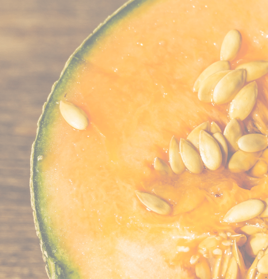 koštice dinje polovica dinje