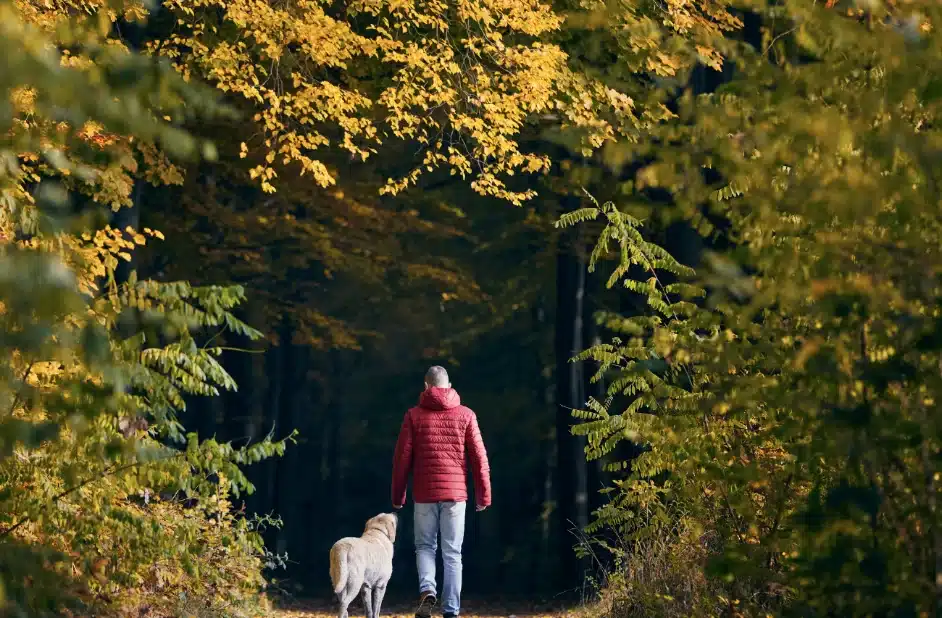 šetnja psa retriver labrador maksimir đuma zagreb ecodog hrvatska vrećice za izmet