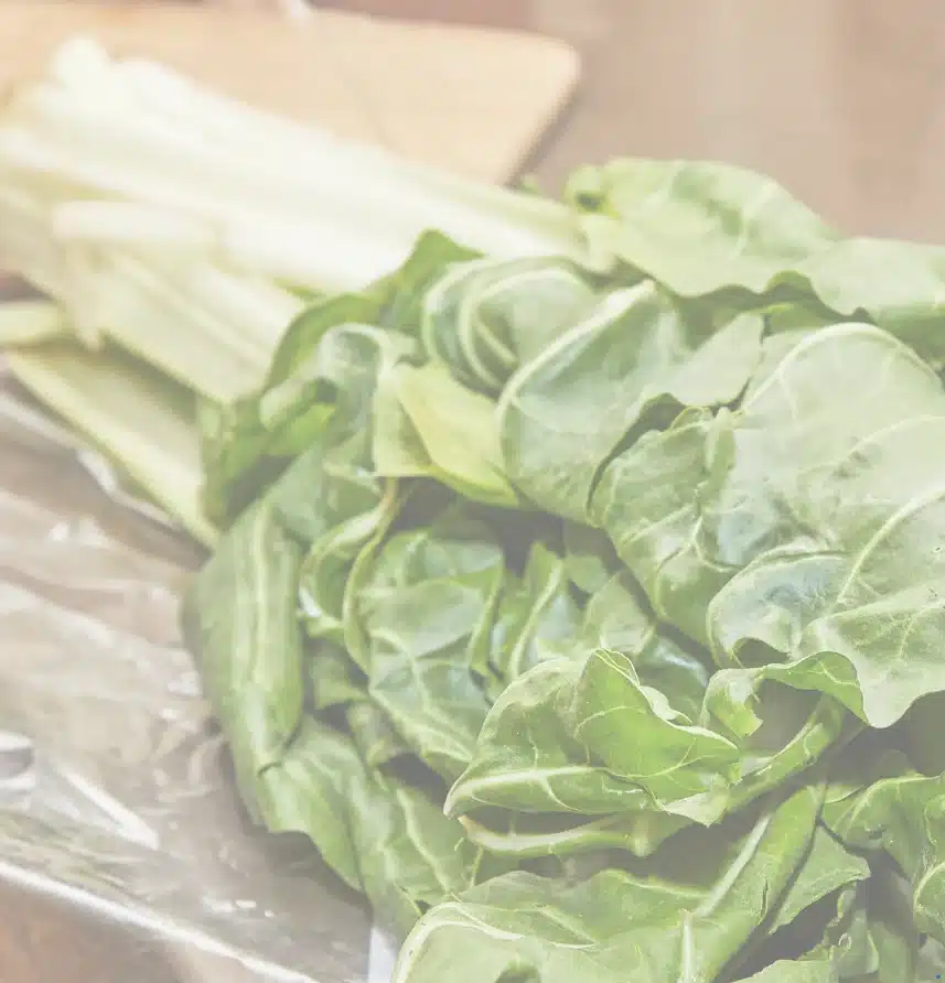 recepti s blitvom zelena svježa blitva na stolu