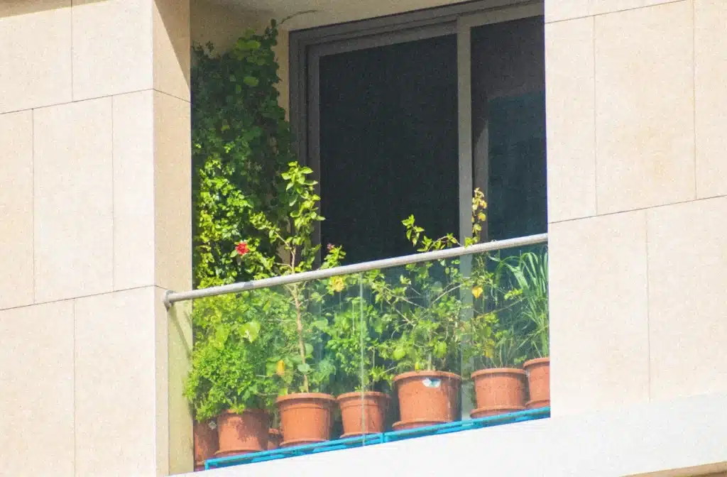 kako smanjiti otpad u kući balkon s cvijećem bršljan hibiskus